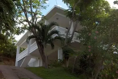 Image de Vues panoramiques sur l'océan et brises tropicales