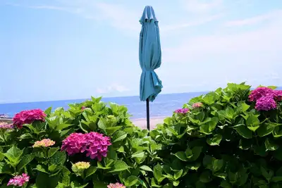 Image de Belle Cottage front de mer menant directement à votre propre plage de sable