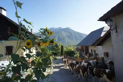 Image de Magnifique Ancienne Ferme à Proximité du Lac d'Annecy et des Montagnes