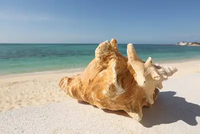 Image de Easy Breezy - Cable Beach