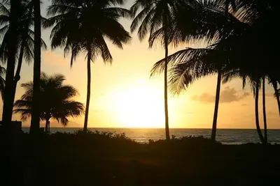 Image de Relax-Unwind-Topical Escape Beach / Sanctuary Home - 3500 acres! Privé et Prestine