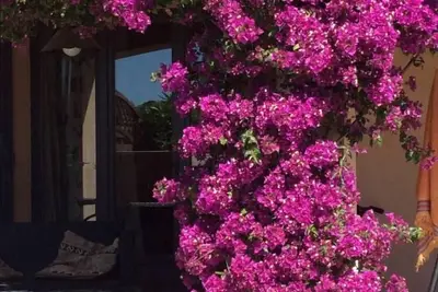 Image de Tres Beau Site Dans Le Var- AGRÉABLE Maison-