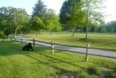 Image de Rest Sparrow - A Place to Retreat