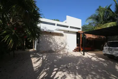 Image de Loft des Caraïbes avec un grand arbre
