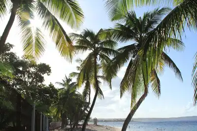 Image de Charmant Studio Les Alizes Le Moule
