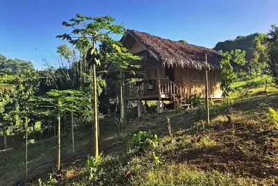Image de Charmante maison d'hĂ´tes Ă Paradise Garden