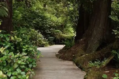 Image de Niché dans la forêt tropicale, sur la route de Meilleur Surf de Tofino! Soaker Tub!