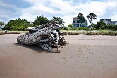 Image de Historic Waterfront Beach House sur l'estuaire