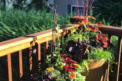 Image de Charmant Cottage Waterfront sur Treasure Island