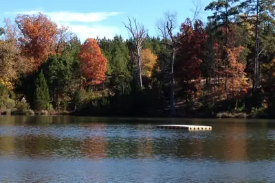 Image de Country Get Away Cabin dans l'est du Texas Piney Woods