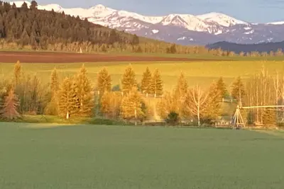 Image de Peaceful Setting. Amazing Views! Close to DwnTwn & Msu