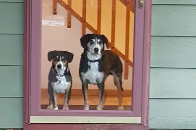 Image de Frisco 2 Bedroom Townhome 5 pâtés de maisons de la rue Main