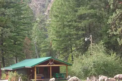 Image de Cabines de type service forestier à 30 milles de Missoula -