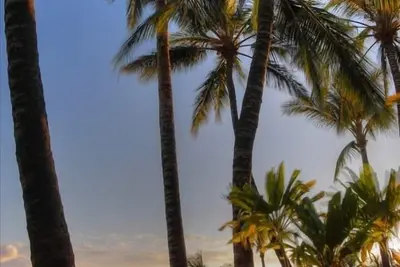 Image de Hale Maluhia - 2 minutes de meilleures plages de la grande île