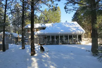 Image de Profitez de notre chien / Maison Familiale En Tollgate