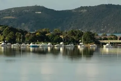 Image de Cime des arbres - Vues spectaculaires sur la rivière et la mer