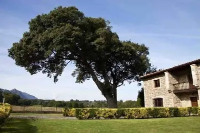 Image de Casa de Aldea La Piniella pour 10 personnes