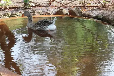Image de Maison de Tourisme Rural - Quinta do Lagar - Wifi gratuit