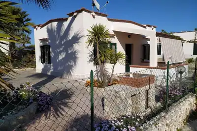 Image de Vacances Cottage n ° 1 Giovanna Disanti, entouré de verdure dans Gargano aVieste