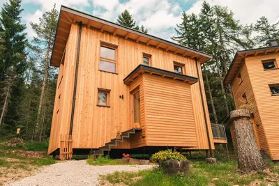 Image de Chalet ForĂŞt Felizitas Pino