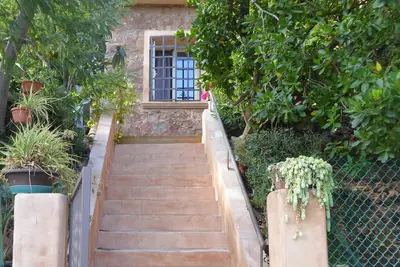 Image de ﻿﻿ Dans un jardin de toutes espèces de plantes et fleurs. . . 2 \"Yucca\"