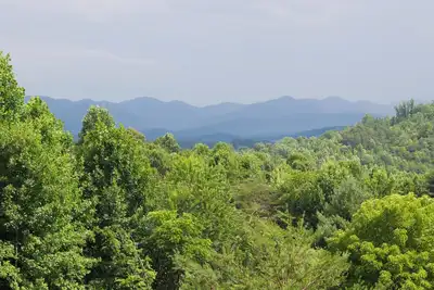 Image de Mountain View Cottage - Vues incroyables et animaux acceptés!