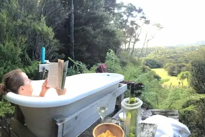 Image de Eco-Bach à l'intérieur d'un sanctuaire de kiwis