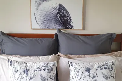 Image de Quatorze sur Begg rue