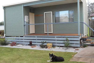 Dunedoo - Caddy Shack