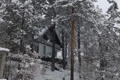 Image de Vacances De Style Robinson En Forêt