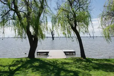 Image de Saule sur le bord de l'eau