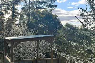 Image de Retraite d'art de Salt Spring; bain à remous privé