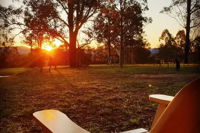 Image de Au centre des établissements vinicoles, des restaurants, des attractions et des salles de concert