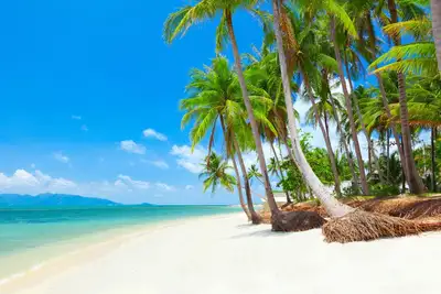 Image de Ban Tai Estate Villa Pina Colada Deluxe