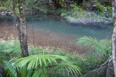 Image de Sine Cera Rainforest Retreat