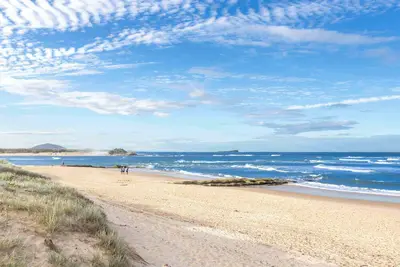 Image de Unité de localisation de Cotton Tree Prime