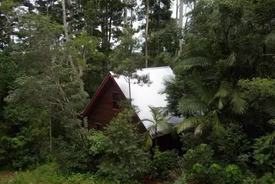 Image de Nid de dinde - Rose Gum Cottage