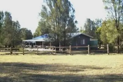 Image de Serenity Grove - Frantoio