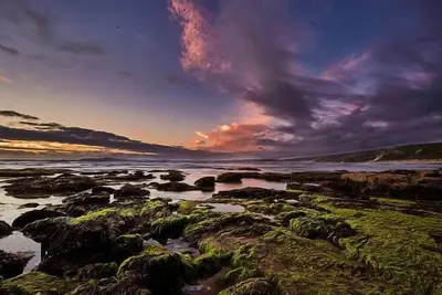 Image de Blackwood Cottage - Séjour de vacances acceptant les animaux