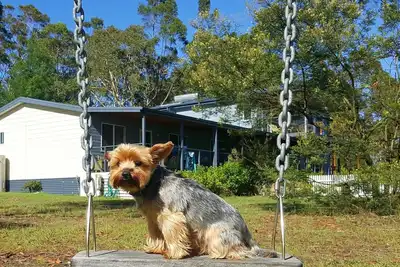 Image de Finchley B & B - Animaux acceptés