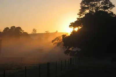 Image de Séjour à la Ferme \"Ferndale\"