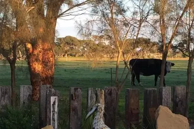 Image de Barwon Heads West View