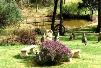Campagne studio intime Daylesford-Hepburn