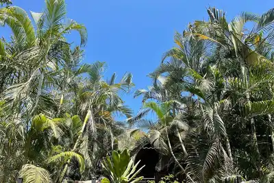 Image de Chalet sur la plage 1 avec vue sur le jardin de Santa Beach.