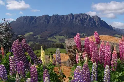 Image de Aaa Granary Accomm - Dads 3 chambres Cottage