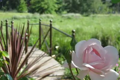 Image de Acara Guest Cottages