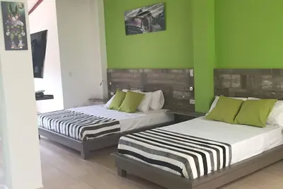 Image de Appartement Suite 30-28 Vert