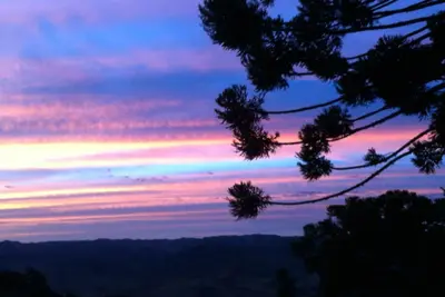 Image de nuit merveilleux, ciel étoilé, l'air frais, la nature incroyable 120 km de Sp