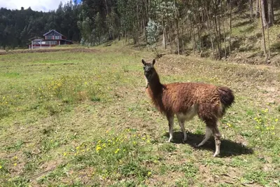 Image de L'Exploitation Agricole Des Territoires Au Moyen Du Monde