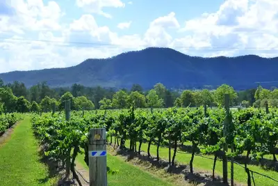 Image de Vins Winmark | Résidence Winmark